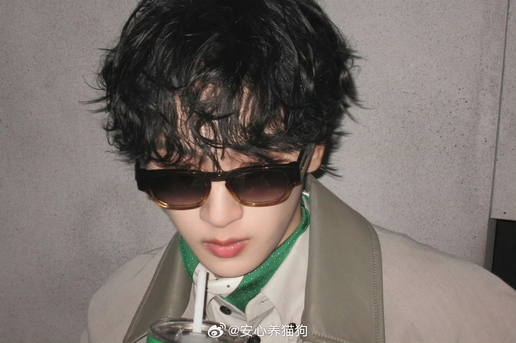 🐱高会更新：等开播😎 ​​​好漂亮好精致！！ ​​​