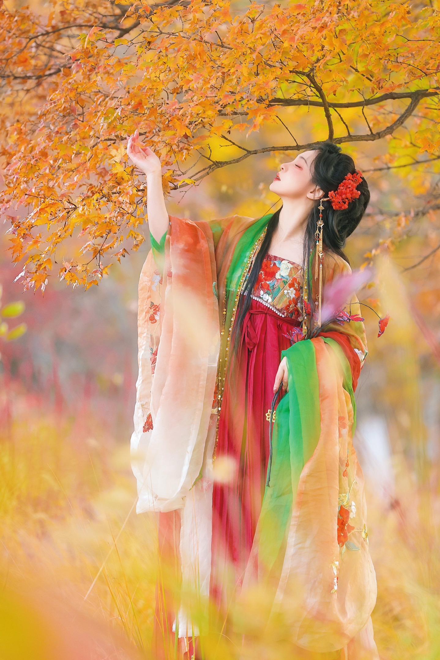 坠入秋天的梦境🍂。摄/后：我