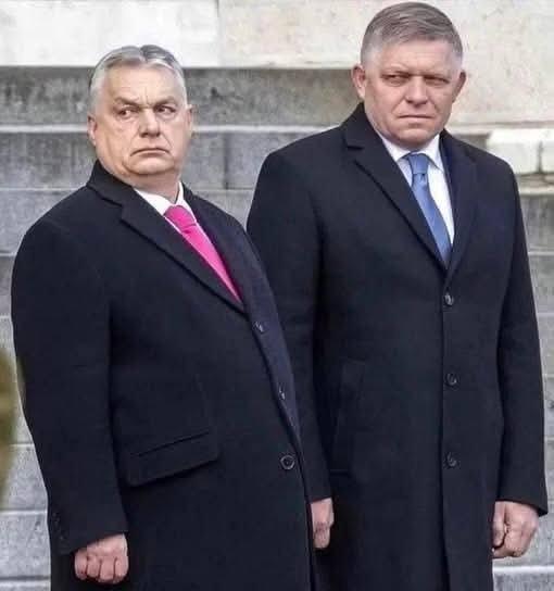 斯洛伐克领导人费佐与臭名昭著的欧盟搅屎棍欧尔班联手攻击乌克兰，声称如果基辅不修复