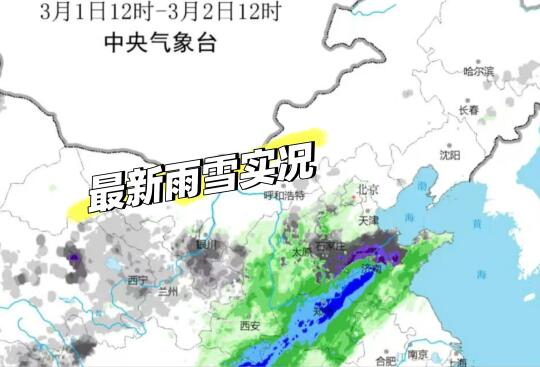 预警升级为红色，山东多地已经出现暴雪🥶
