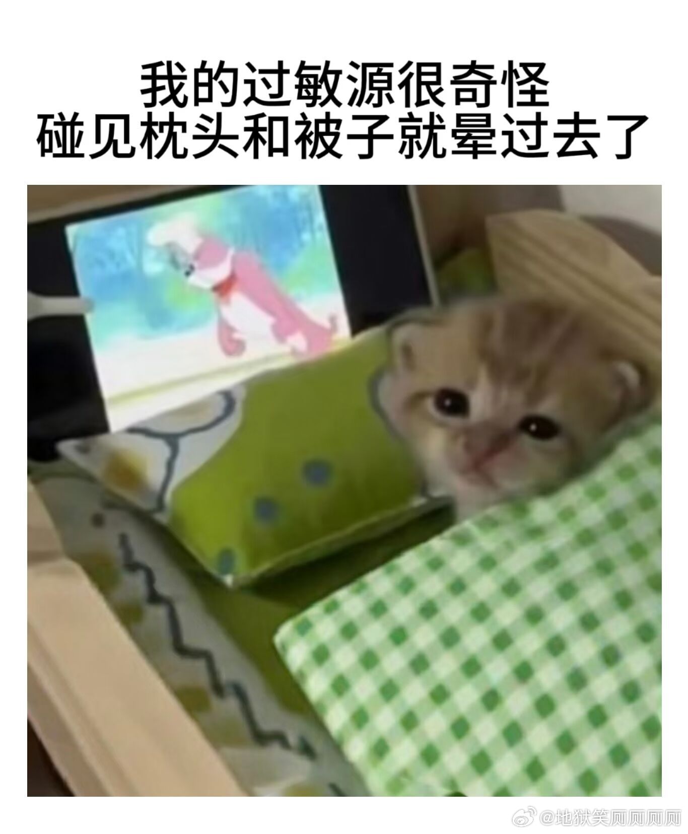 1447好奇怪，我过敏的时候一点也不难受而且很舒服。这是怎么回事 