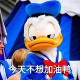 橙敏爱聊娱乐
