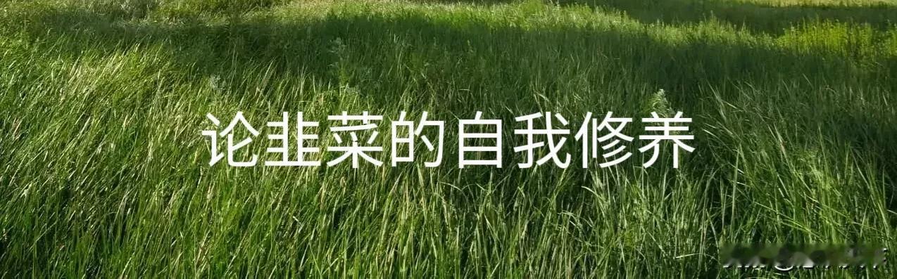 昨天主力们连买带忽悠，号称今天将百股涨停。可惜小韭们都学精了，没有人上当。
主力