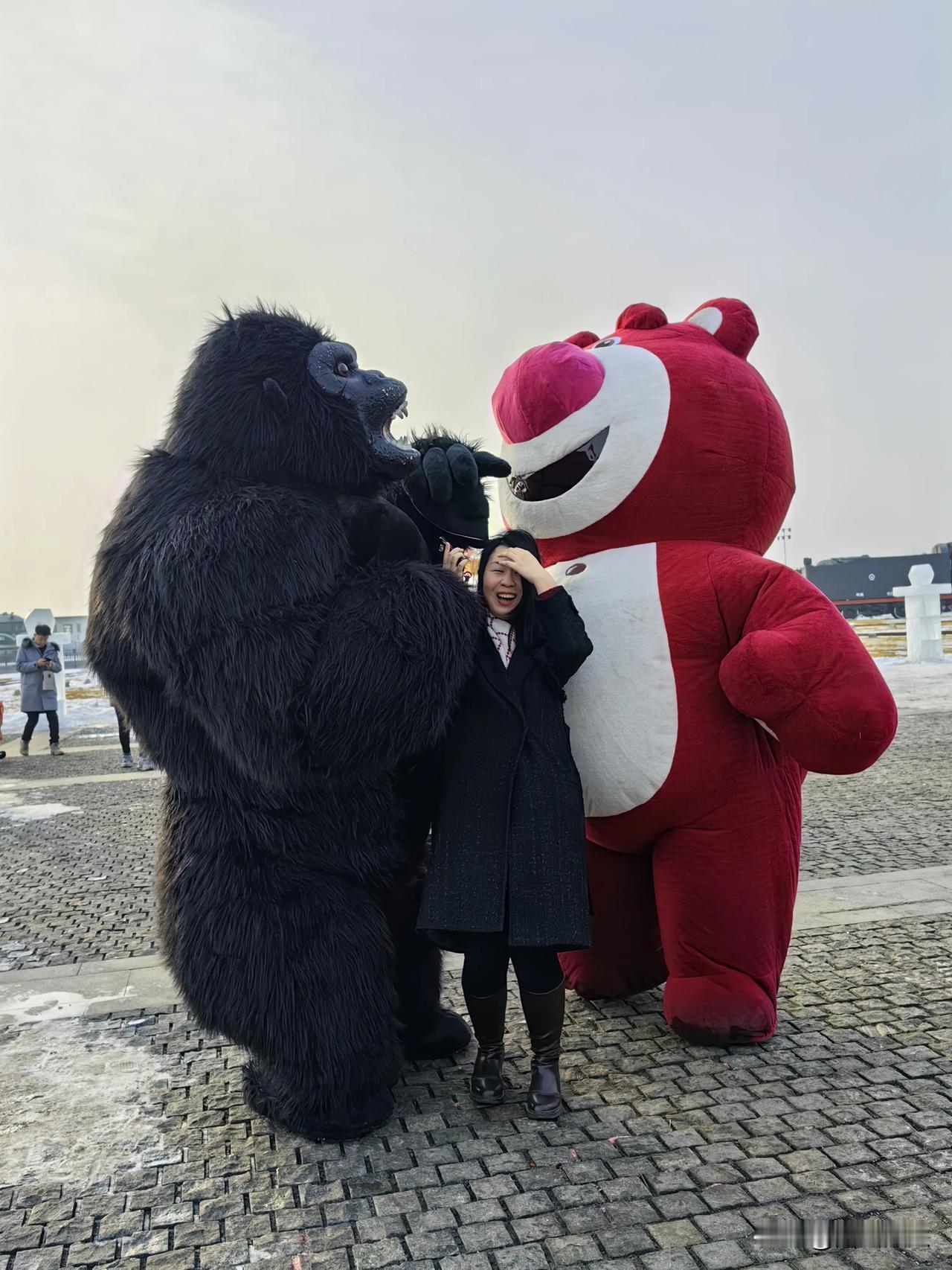 这样“欺负游客”有点坏！

今天在呼和浩特大黑河军事文化乐园看到一幕，两只“大熊