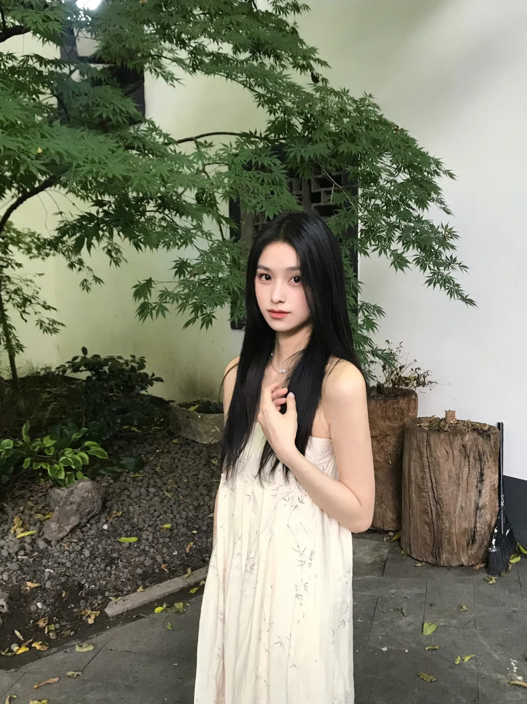 竹影