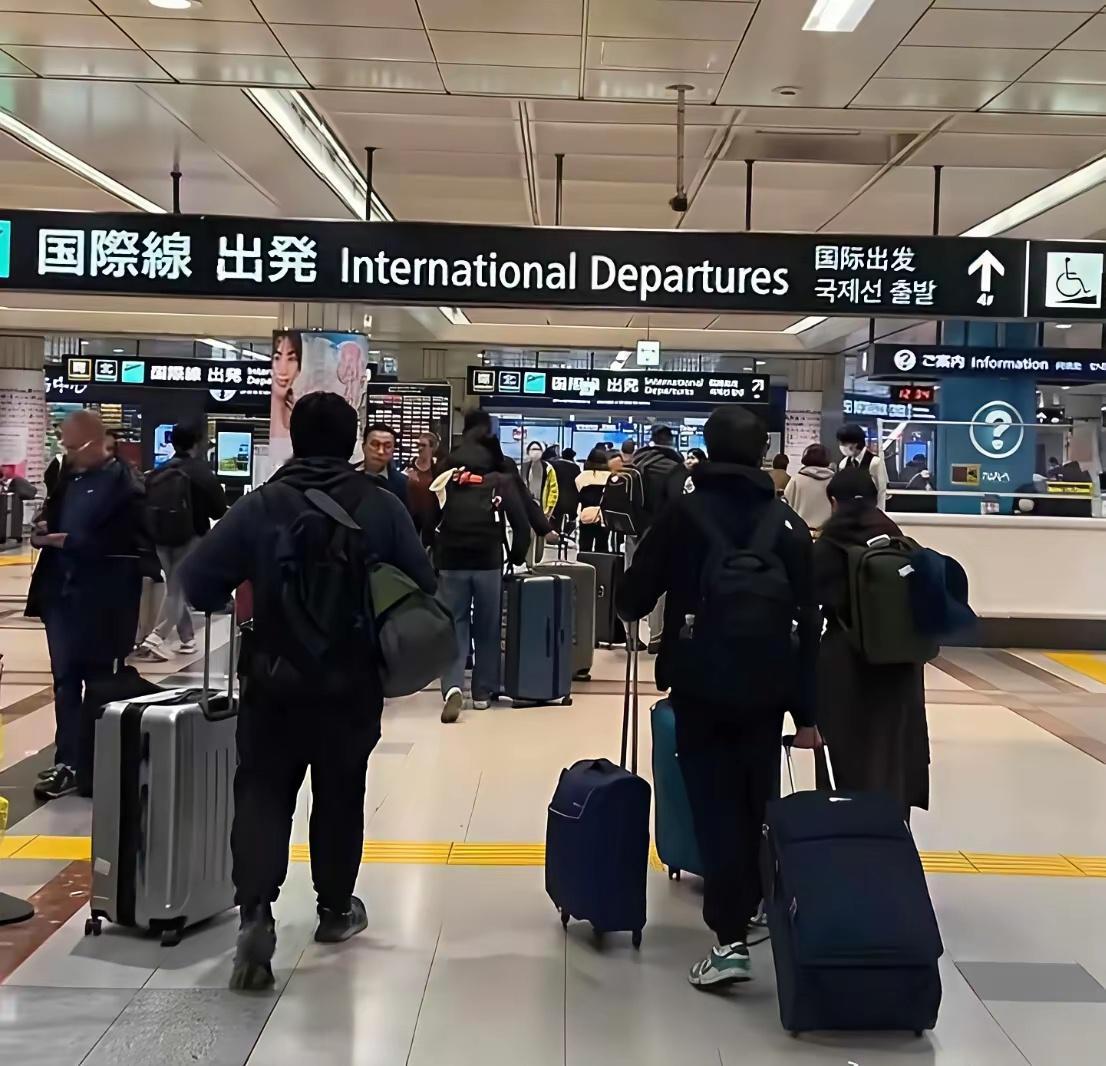据共同社4月30日报道：日本赴华旅游游客暴跌超90%。日本人为什么不来中国旅游了