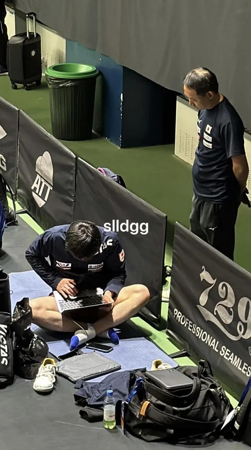 张本智和在赛场旁边还要写作业，大学生伤不起啊！[大笑]

张本智和真的很拼呀！一