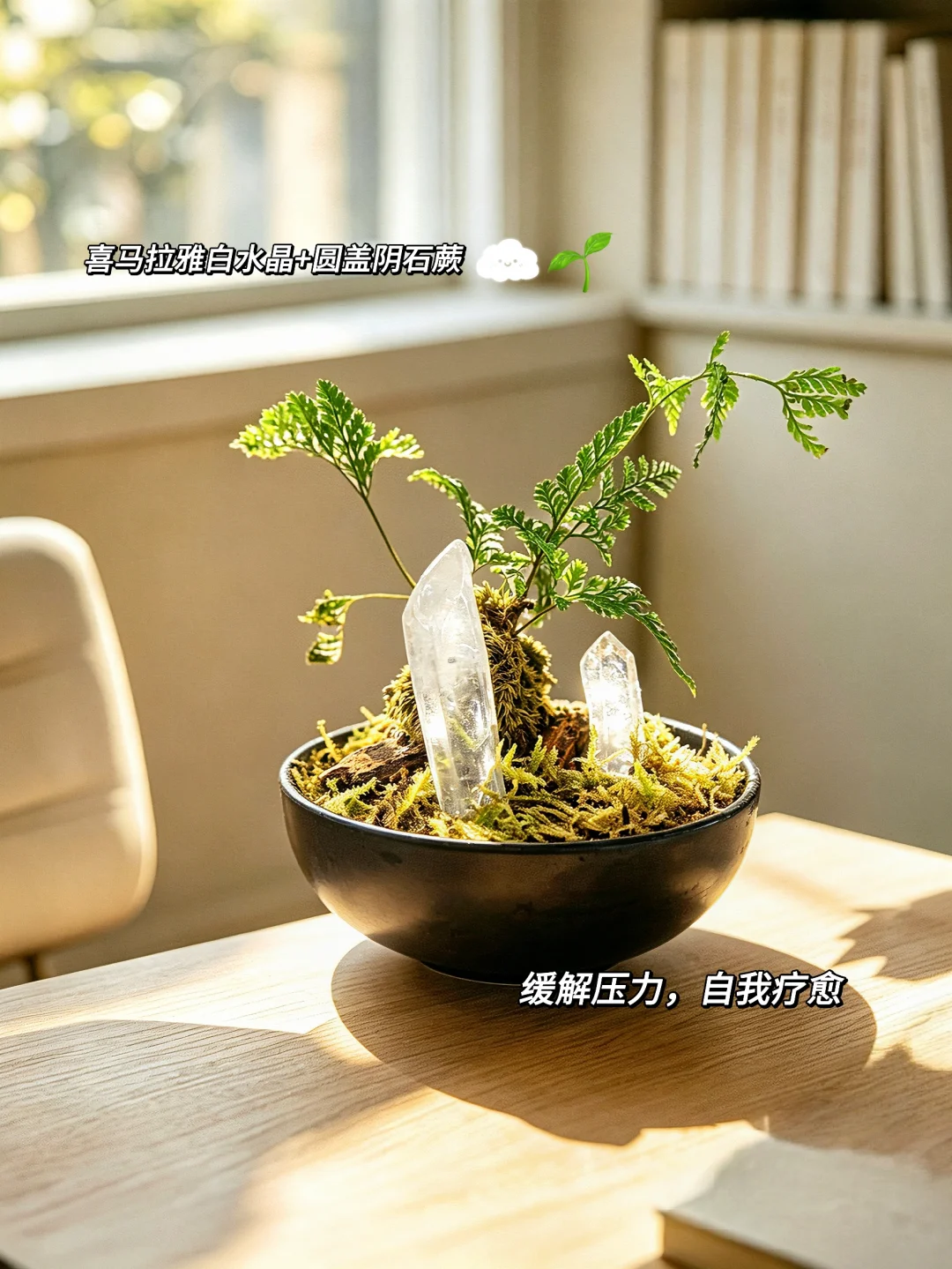 把阳光和绿植都装进小盆🍃