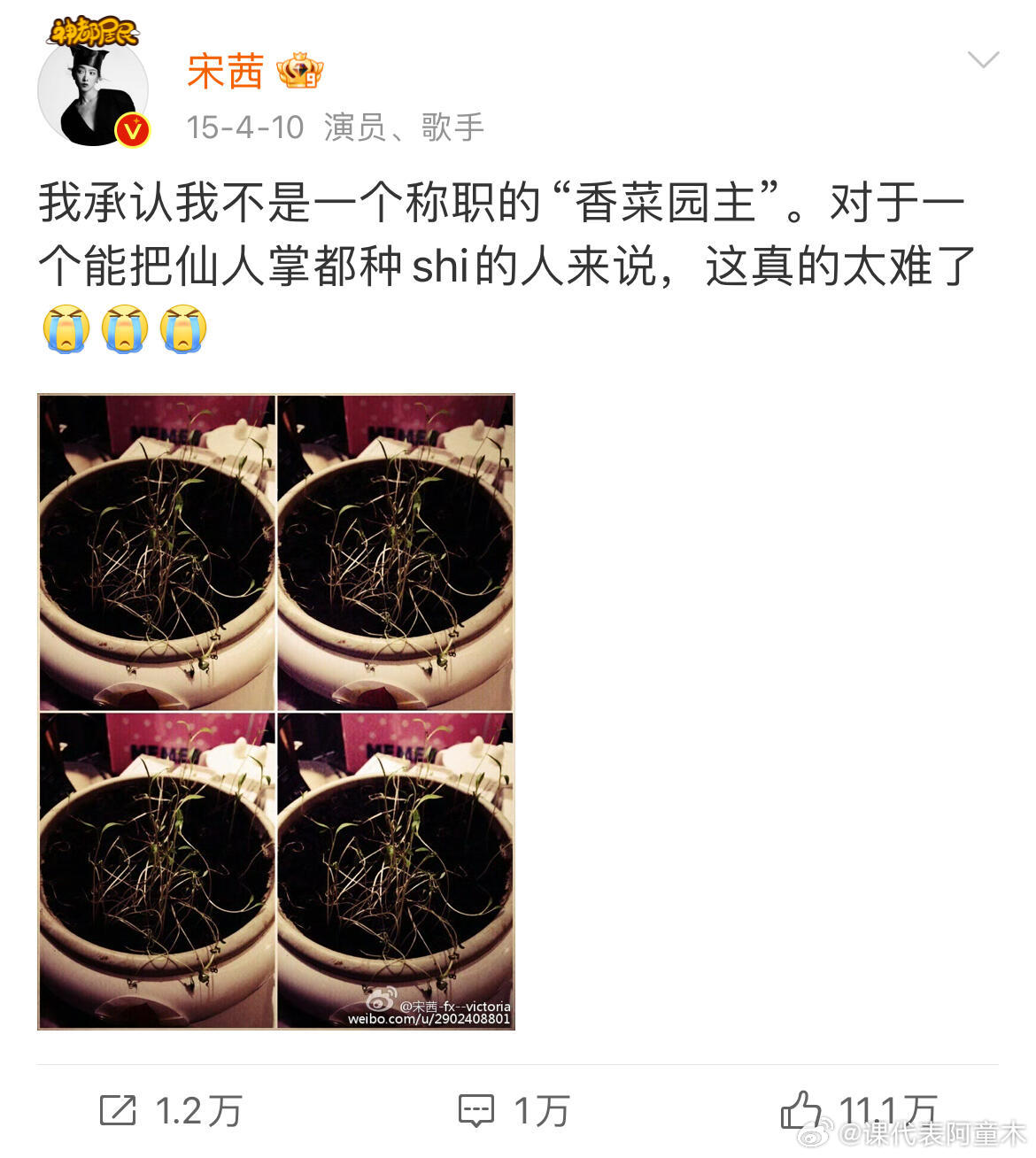 宋茜 一个不发死字的女明星考古宋茜的微博真的越挖越有！这是什么宝藏大美女啊！才发