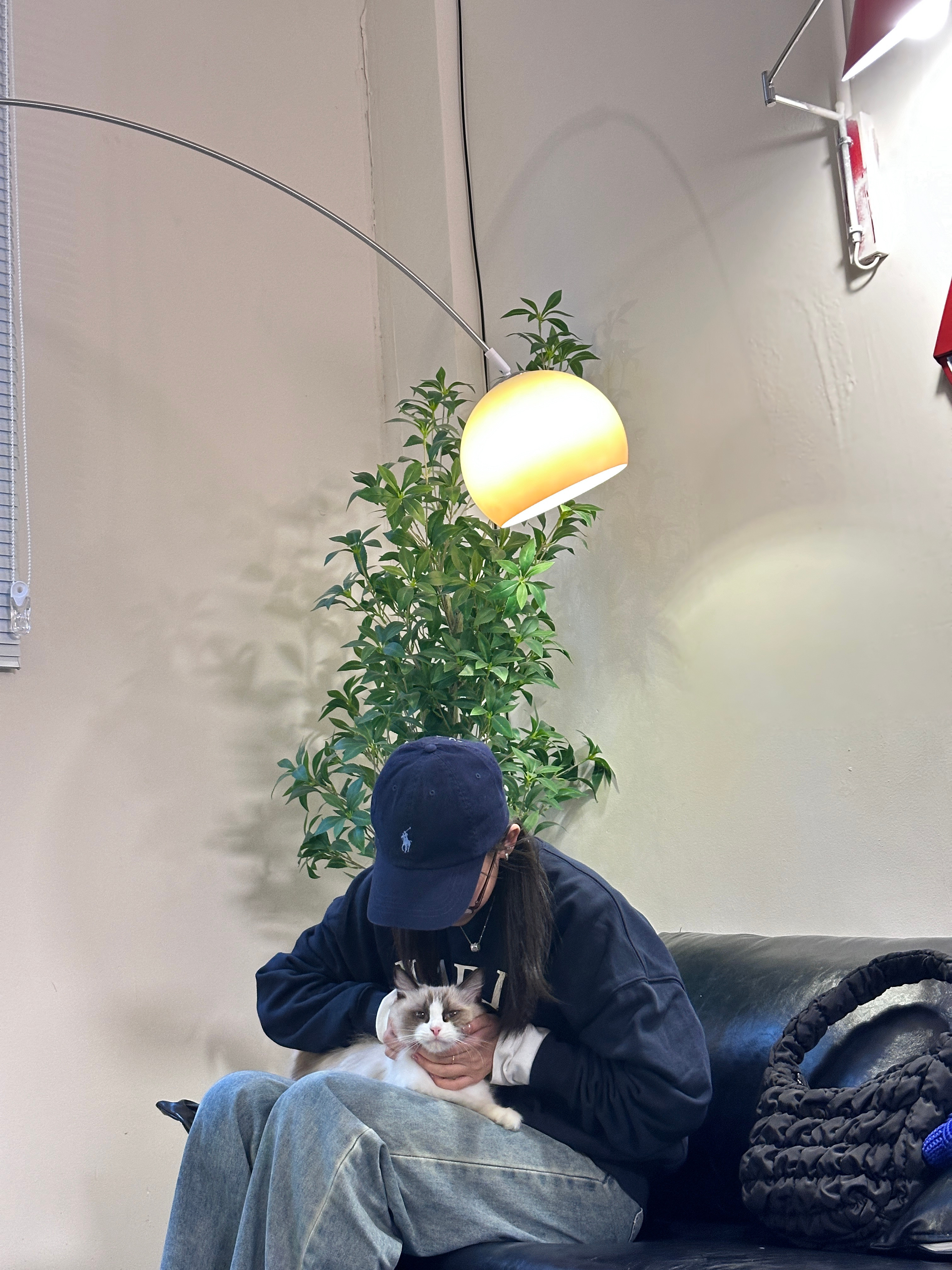 猫猫猫猫🐱 ​​​