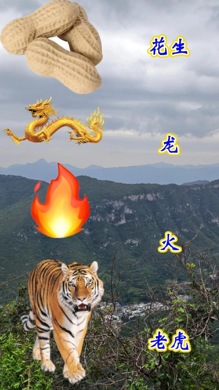 笑不活了！花生、龙、火、老虎凑一起猜成语，这题是来为难人的吧？求大神带飞！
