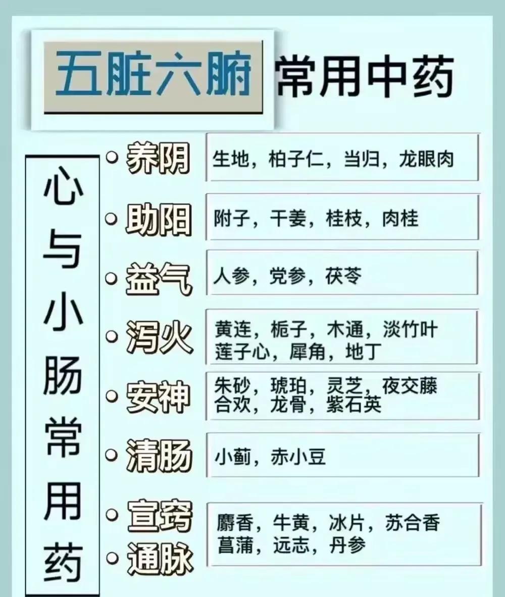 你是否经常感到身体不适，但又不知原因何在？今天，我们就来聊聊五脏六腑的健康守护神