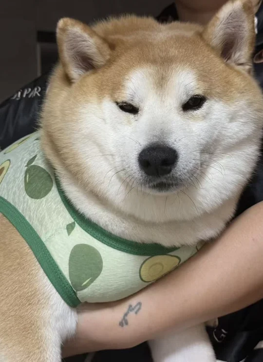 快点拍，我妈快抱不动了