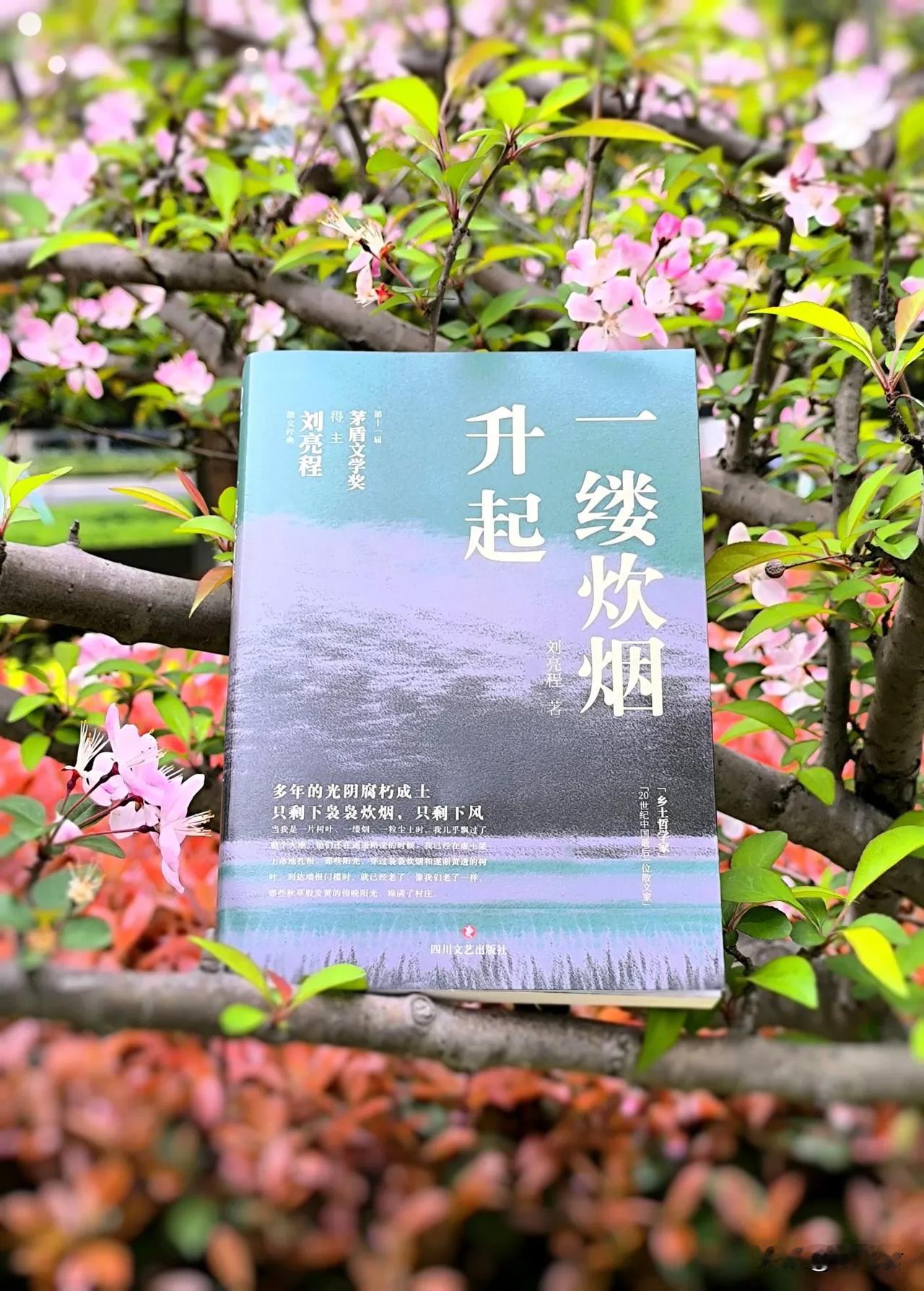 刘亮程笔下的故乡，藏着我们的精神归处

作家刘亮程被誉为“20世纪中国最后一位散