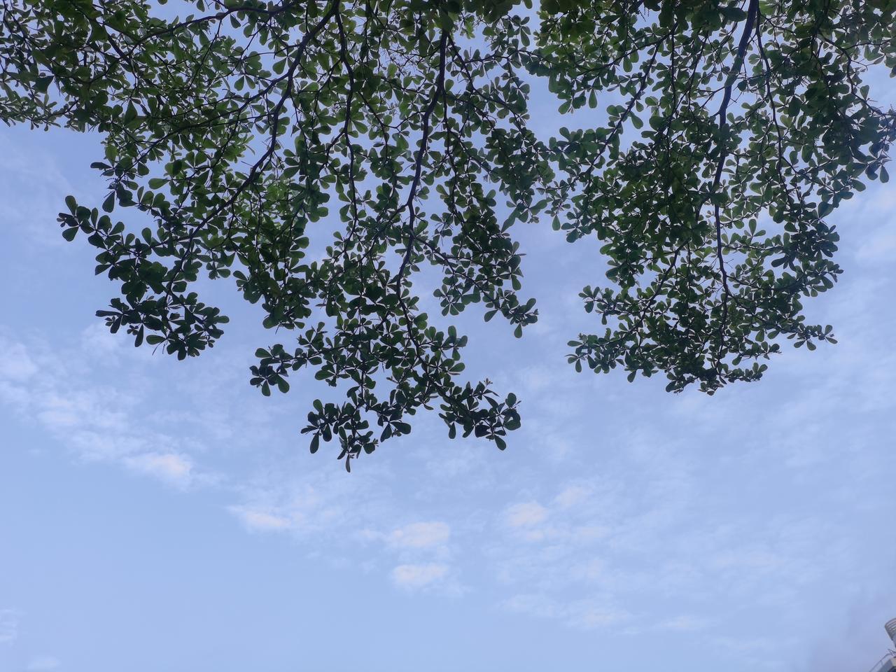 这个真相必须看得清清楚楚！日本政府，军队，社会极右分子，已经憋着劲儿，形成了一股