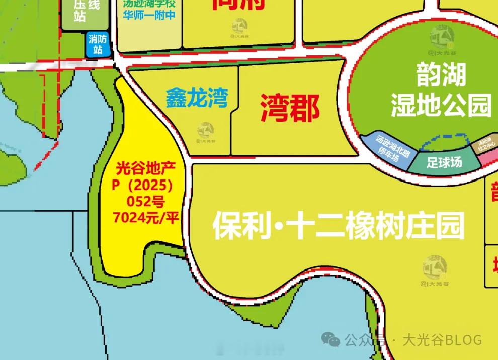 批前公示！光谷汤逊湖低密宅地 P (2025) 052 号规划出炉近日，武汉市自