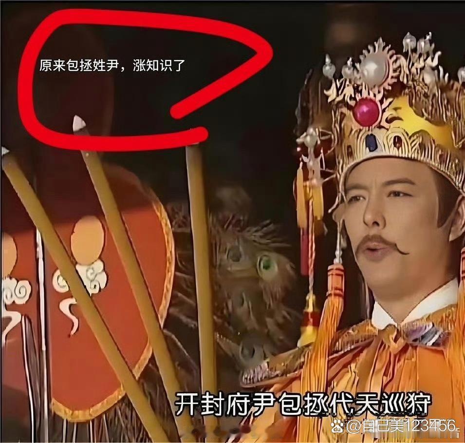 被《包青天》一条弹幕笑死，这是个九年义务的漏网之鱼啊 