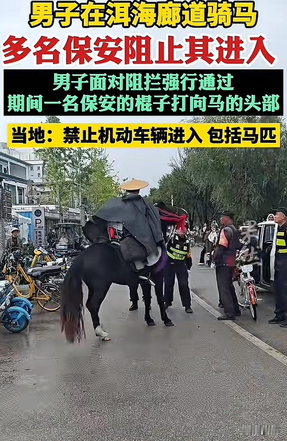 近日，骑马旅行的网红张某在大理喜洲镇洱海生态廊道，因试图骑马进入被保安阻拦，双方