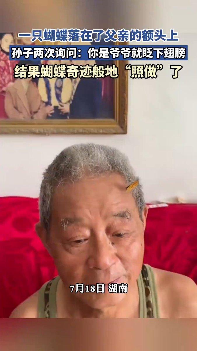 湖南一户人家，遇见一件满是温柔的小事。
七月十八日，一只黄蝴蝶径直落在老人的额头