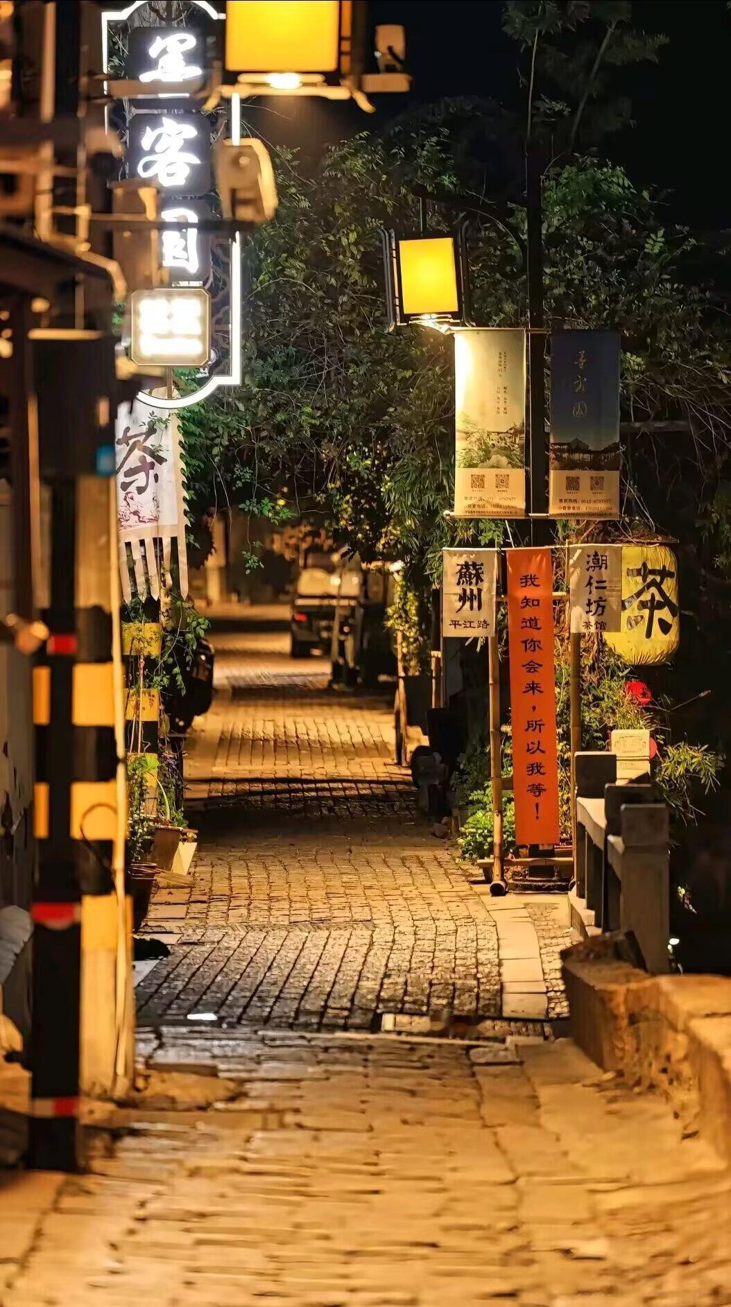 平江路的夜，是把江南原本就舒缓的节奏，又细细调慢了几分。脚踏过被暮色浸润得微凉的