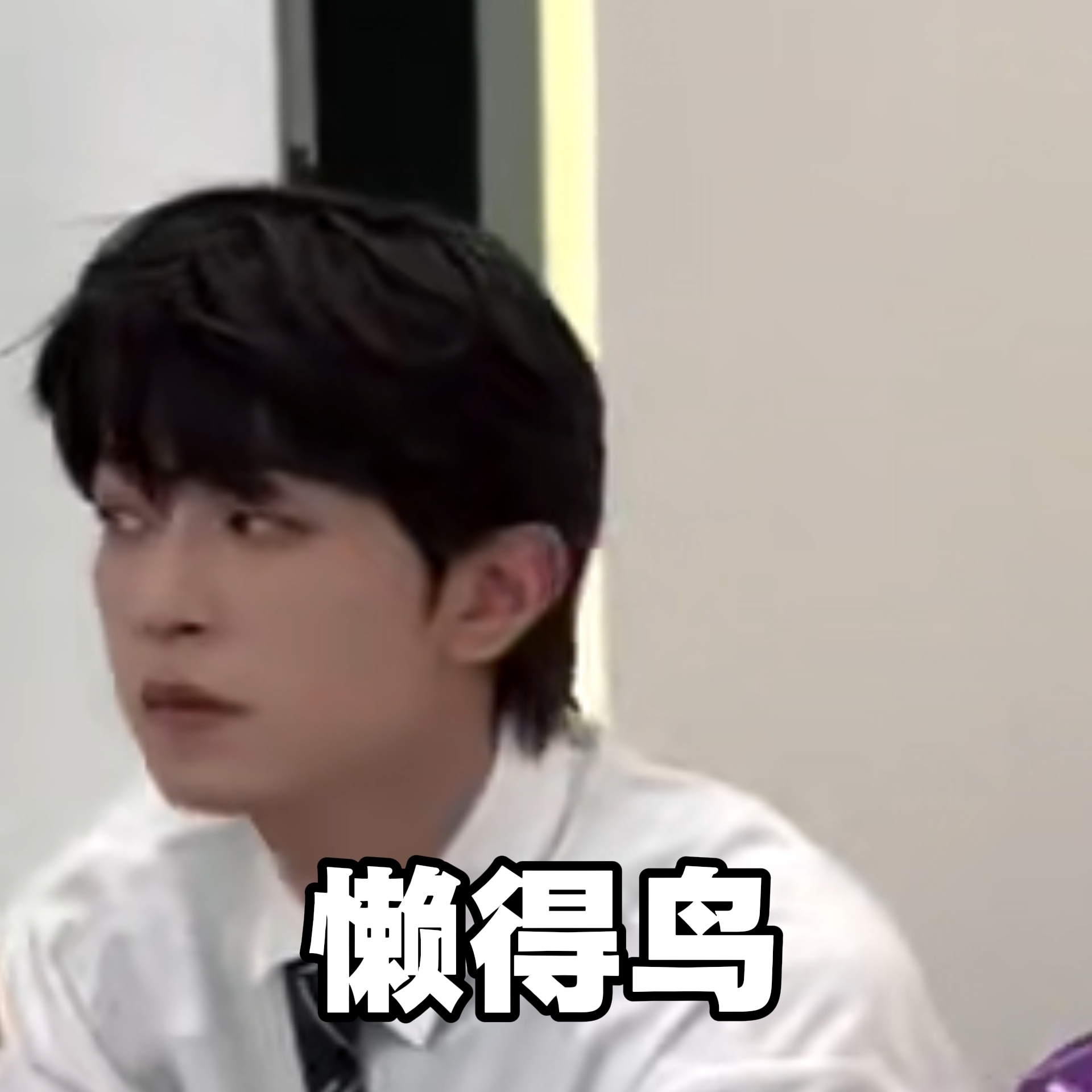 全霖：拍拍拍尼玛🙄 