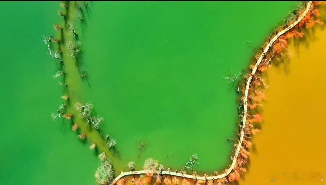 旅居云南世界花园 彩云之南四季如春，真的是在这里能够体会到的生活的一种美好的呀，