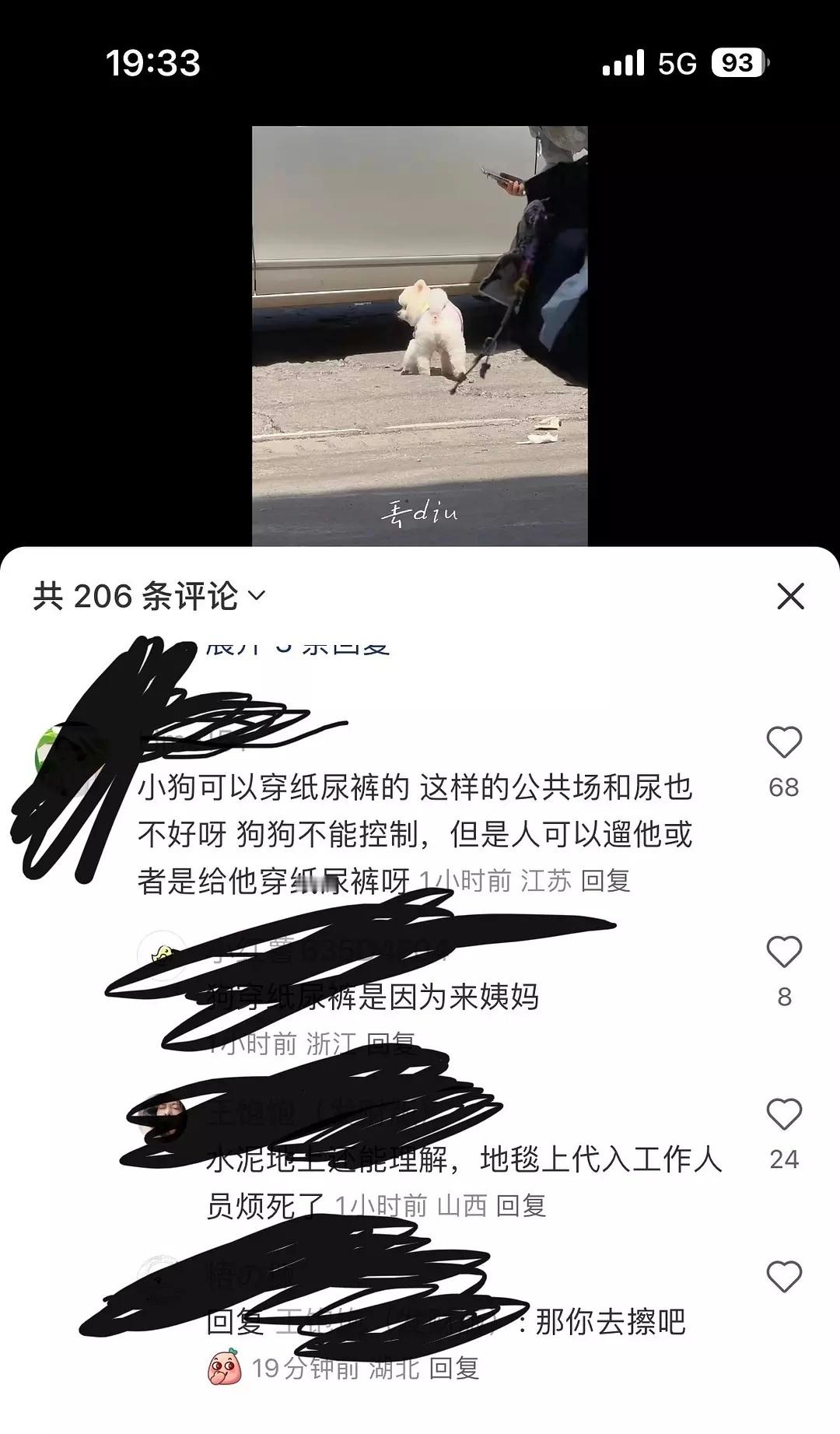 反正我觉得没必要惯着明星的狗况且宠物也不是你们明星的时尚单品蛤 ​​​