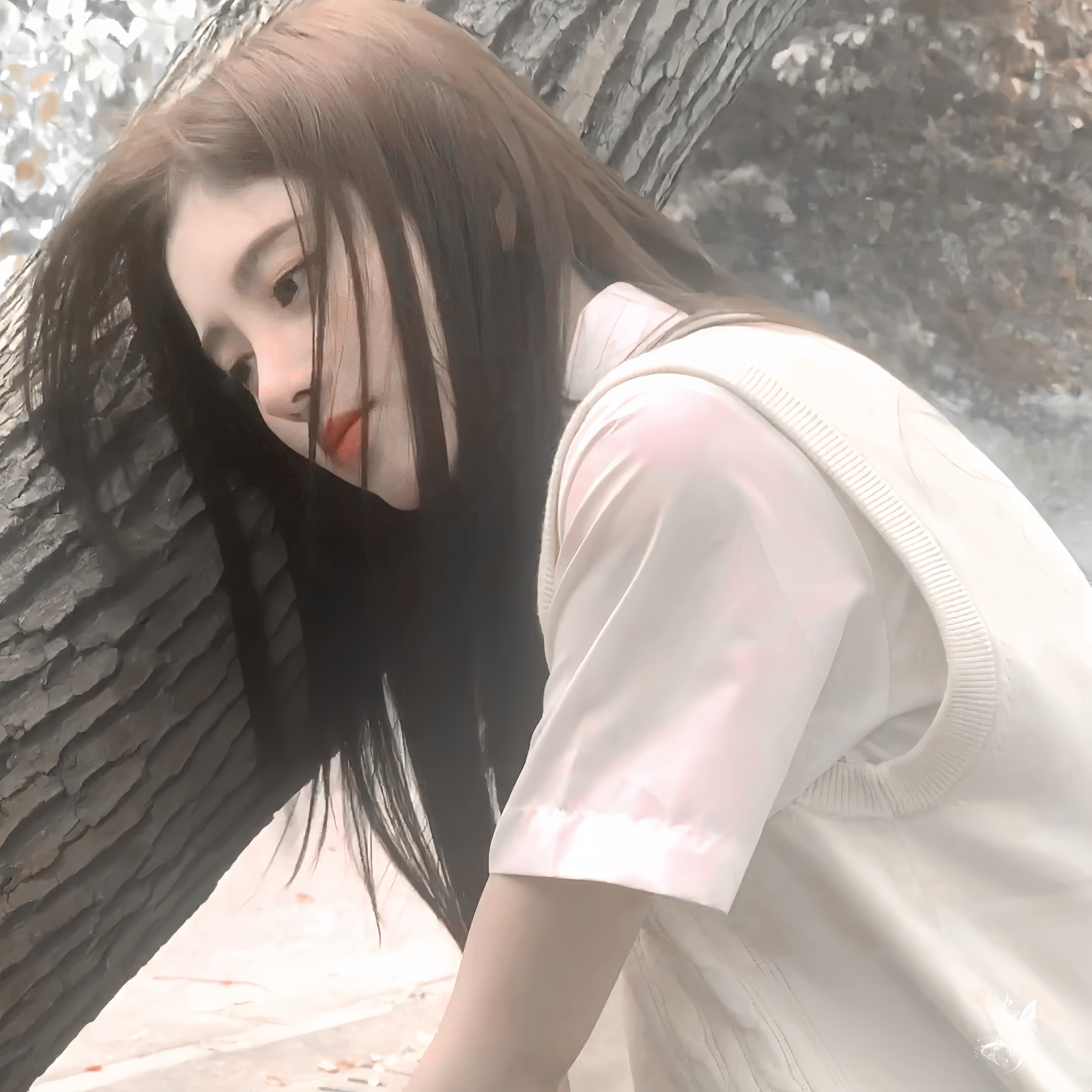 春赴校园光景[兔子]鞠婧祎 ​​​
