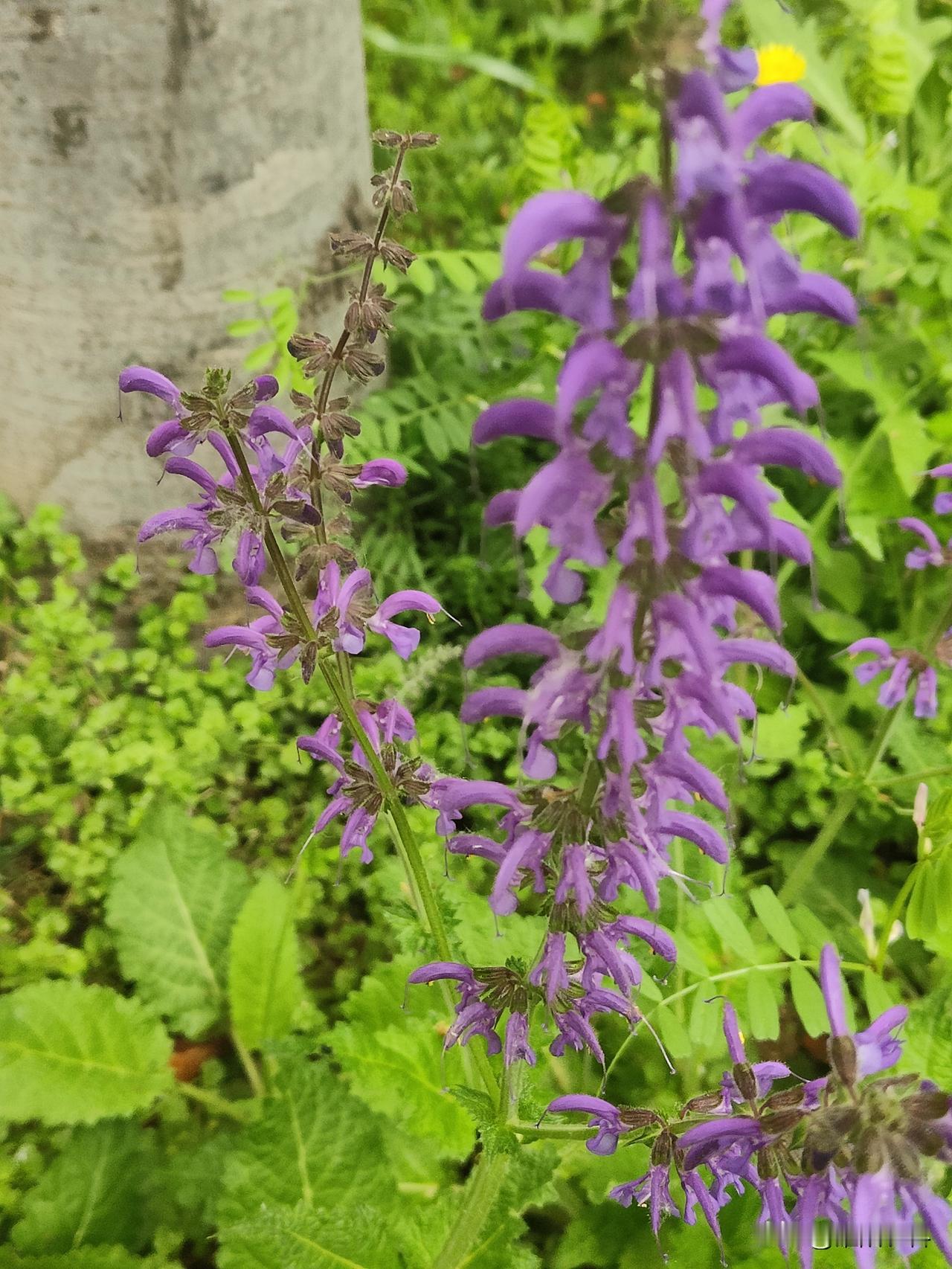 人贩子为了一些经济利益，不仅改变了被贩卖儿童的命运，使许多儿童被迫离开了自己的父