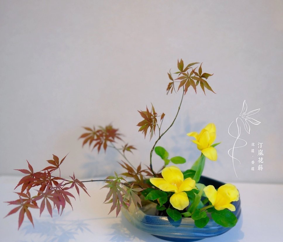 每日一善 阳光‎信用 日行一善，让善因累德深厚福田，日行一善，是心慈悲和感恩的诠