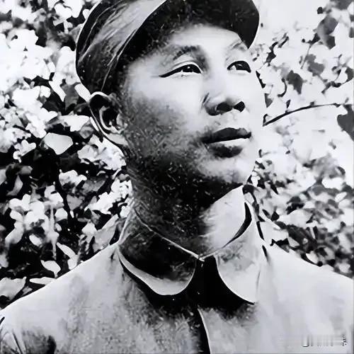 1943年，在狼牙山养病的杨成武，被鬼子包围在山顶没了退路，在这危急时刻，一位老