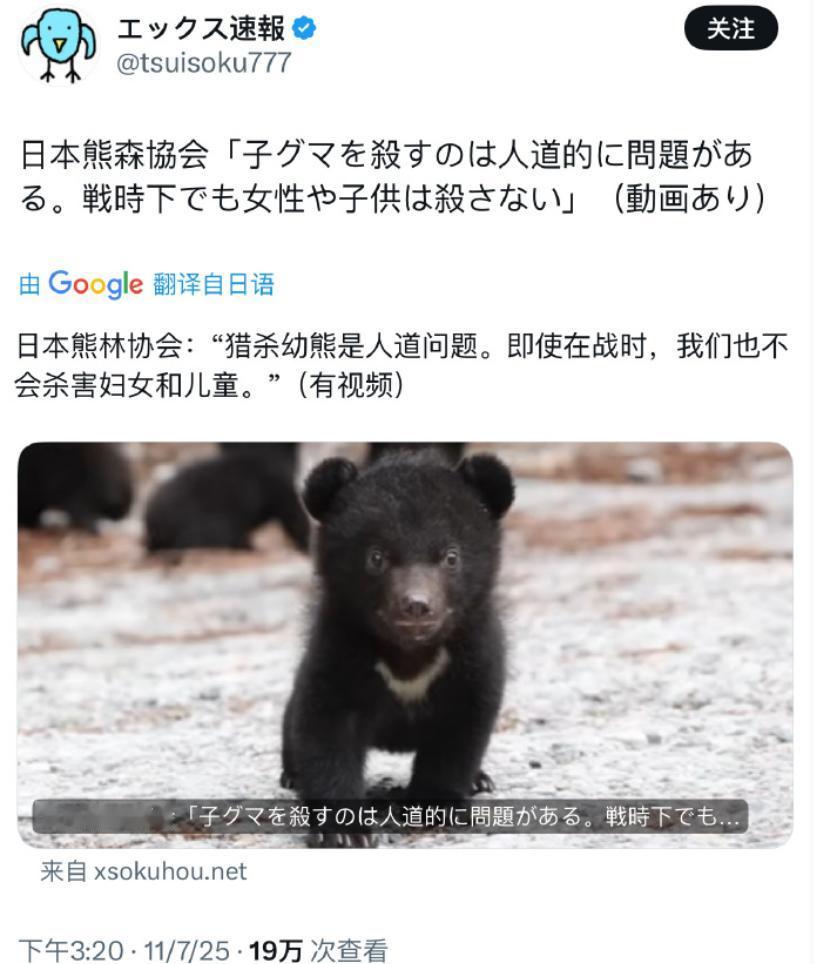 日本人称猎杀幼熊不人道，战时也不会对妇孺动手，要脸吗？

日本人有枪不用，偏要用