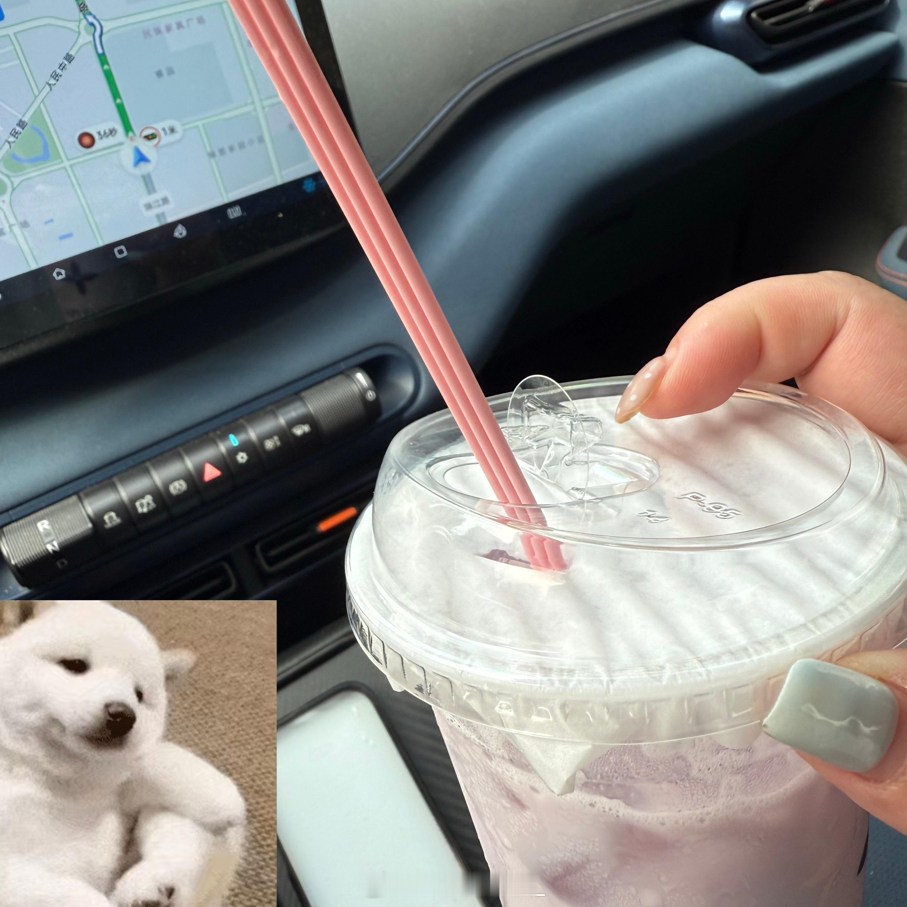 针王葡萄 你真的是越来越少了 