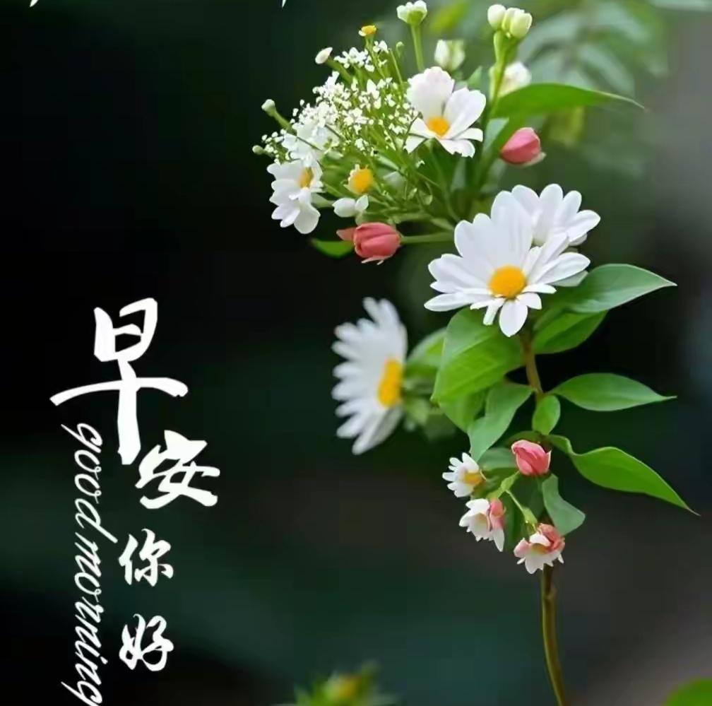 你觉得哪一张或者哪几张好看？在评论区留言，共同留住美好，互相祝福！