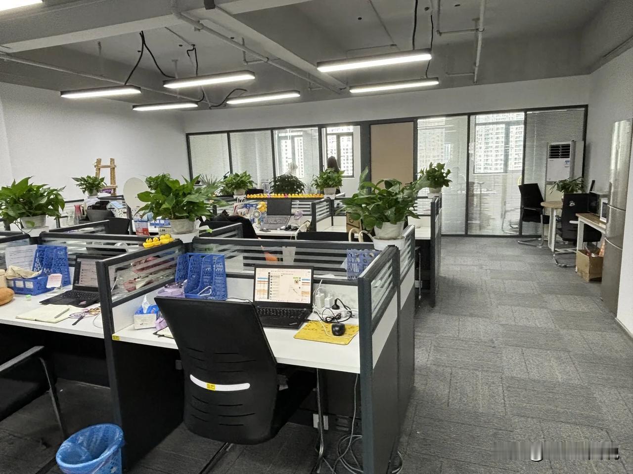 昨天和78年的市场经理仲裁案子打完了！总体算下来，尽管花了8000的律师费和支付