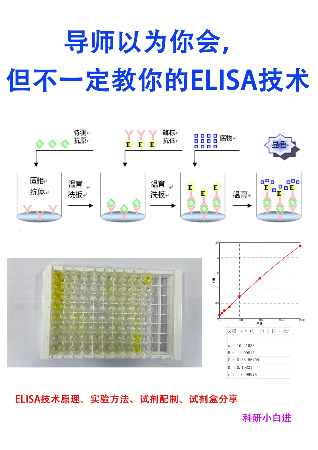 是谁家的Elisa 试剂盒还送月饼🎁呀