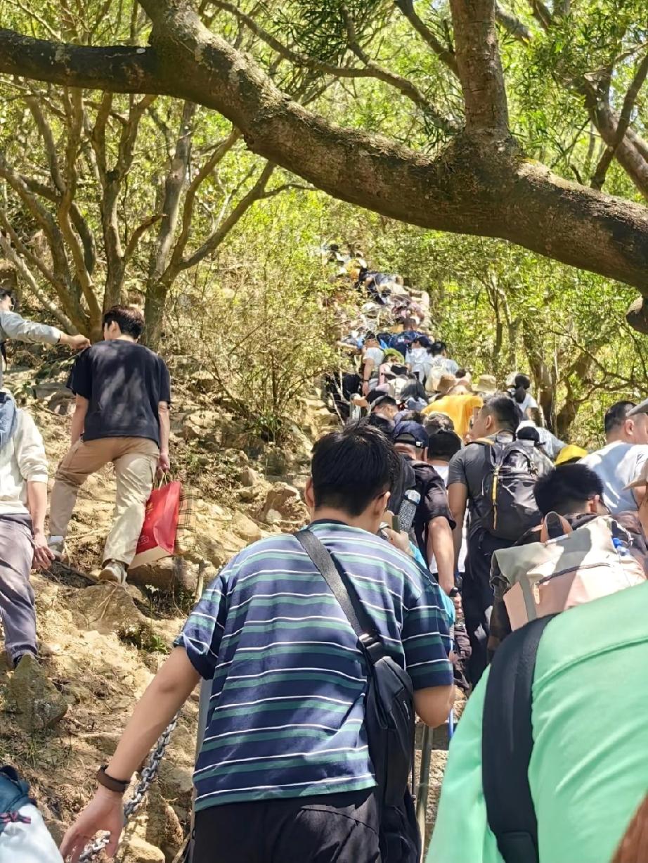 我就奇了怪了？
年年节日都堵，
年年都有人愿意节假日凑热闹！
人多的地方真不建议