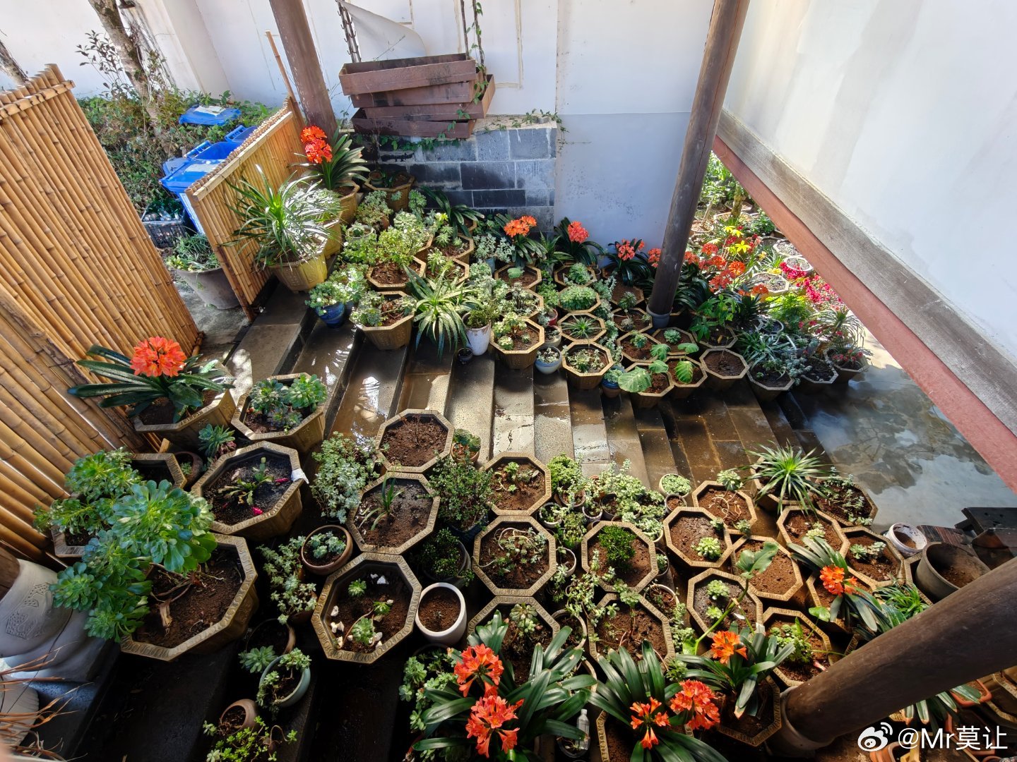 这个阳光花房不错！ 