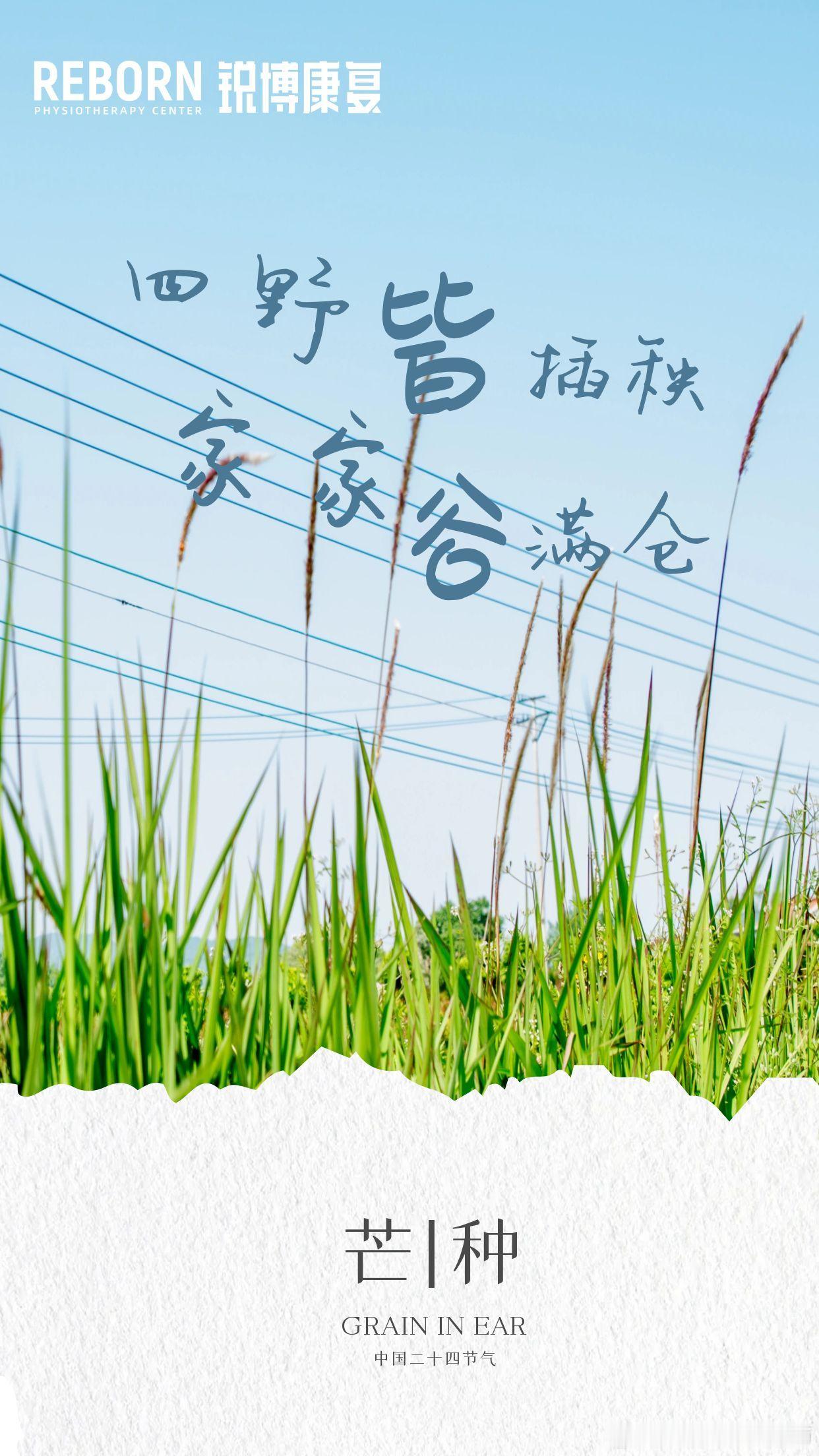今日芒种[太阳]播种下康复的种子，收获健康无痛的身体[酷] ​​​