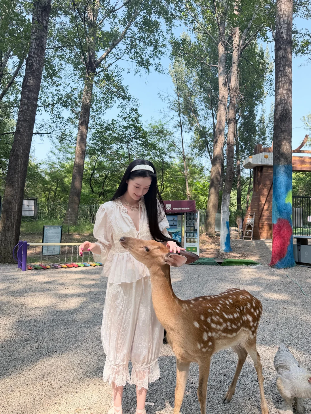 哇地上好多小地雷粑粑