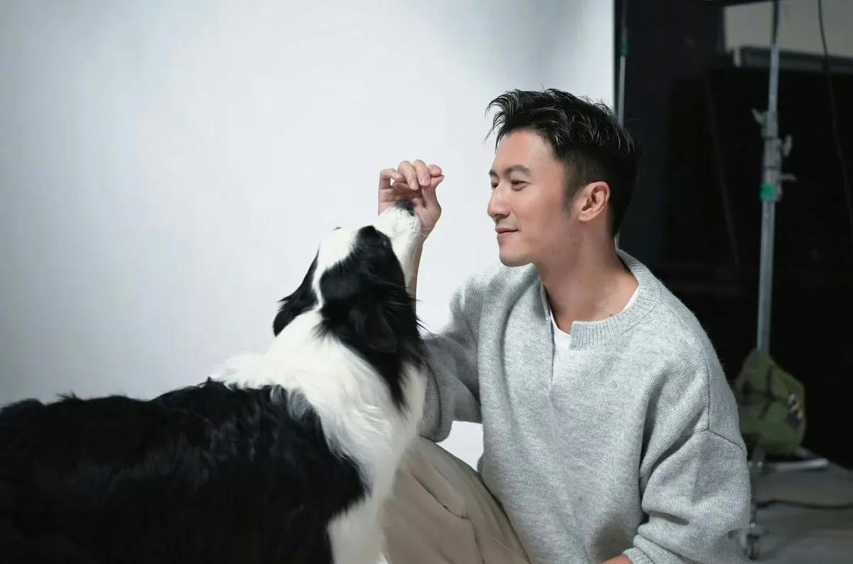 谢霆锋在深圳演唱会上，听说了七只狗狗走了17公里找回家的故事，当场就决定把他那支