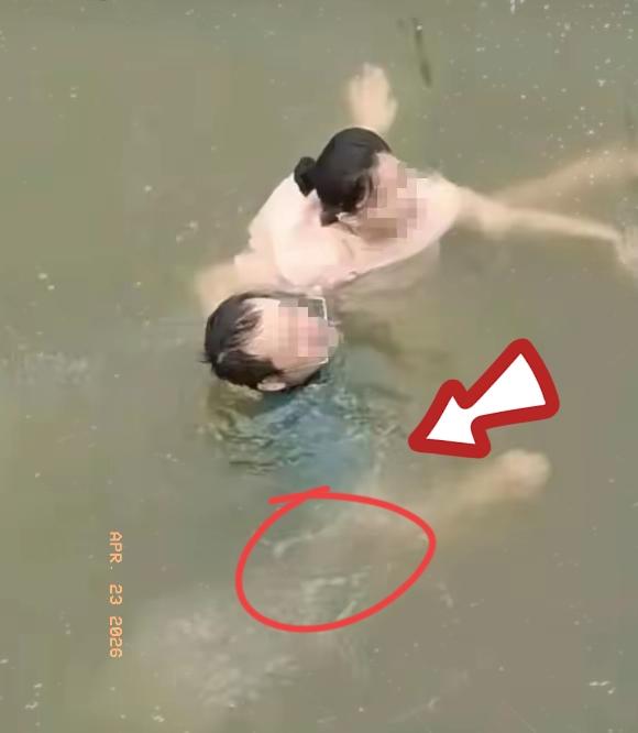 笑不活了！河北，男子见一女子落水，脱了衣服就跳进河里救人，结果游泳的时候把裤头游