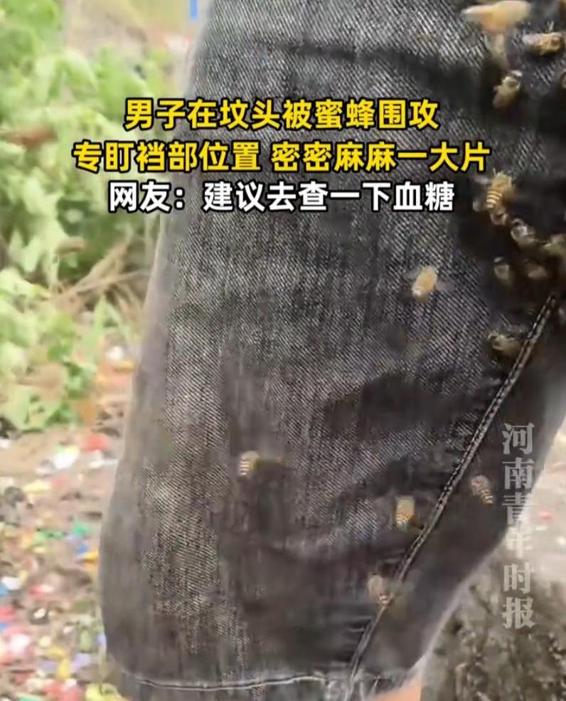 陕西，男子清明节去上坟。突然，一群蜜蜂飞来围攻他。没想到，专盯他裆部位置，旁边的