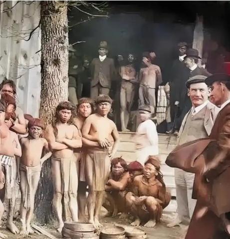 1788年，当第一批英国舰队抵达澳大利亚时，这片广袤的土地上还生活着近百万原住民