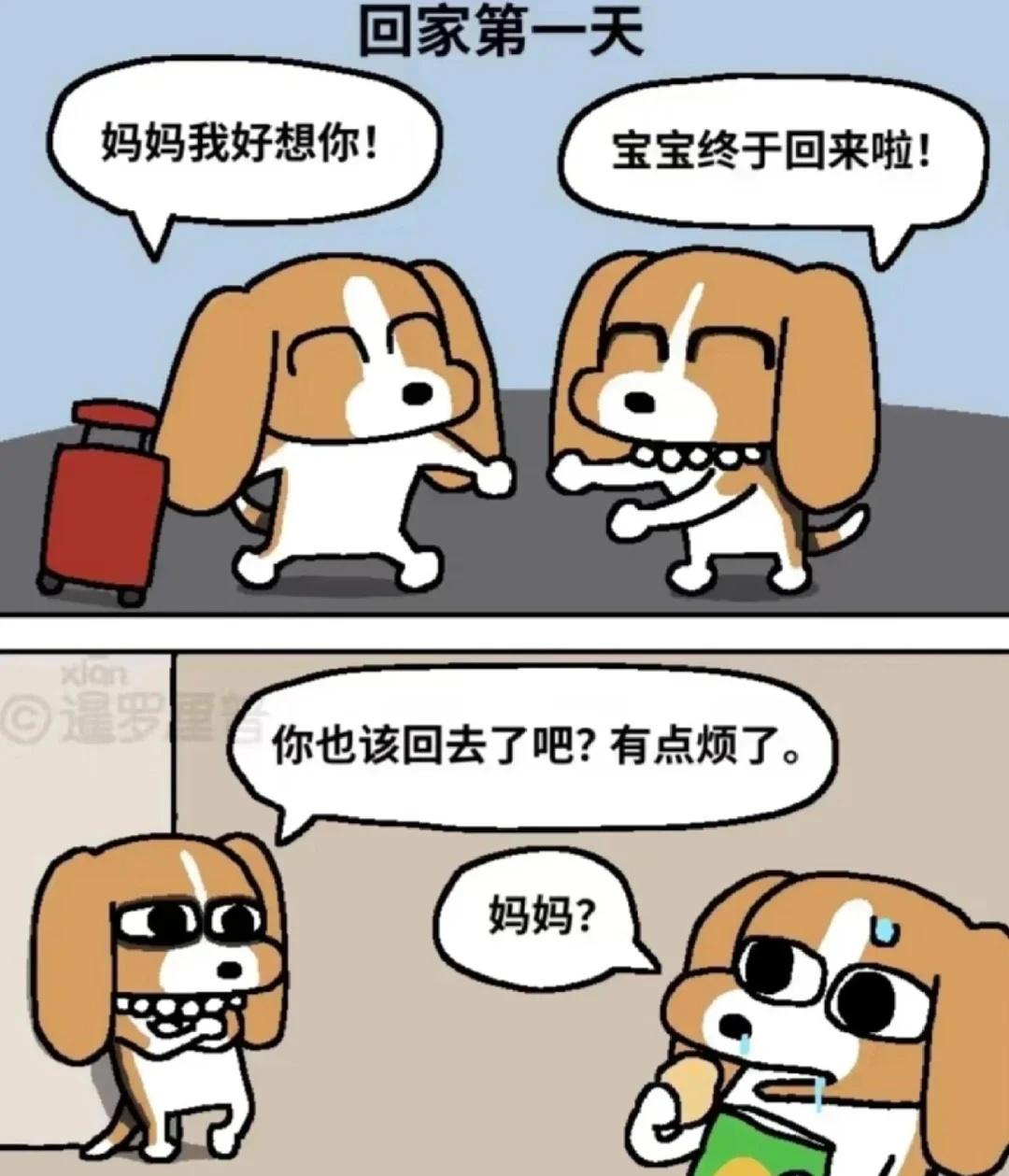 werwerwerwerwerwerwerwerwerwer
比格多栋   暹罗