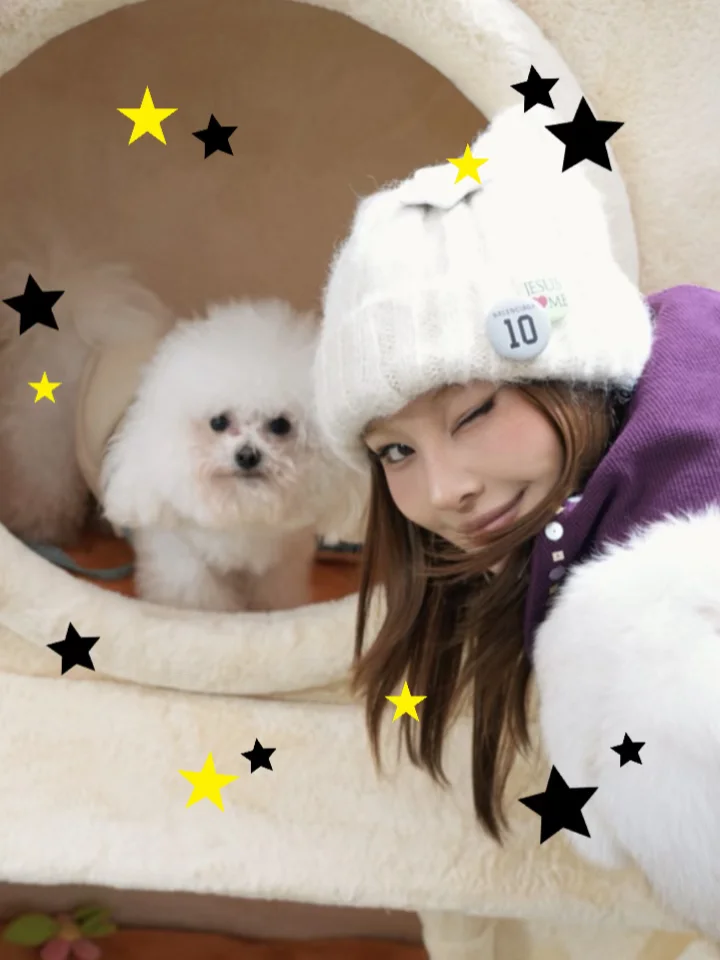 * Puppy Diary ◌‬𓈒*☆੯‧̀͡⬮\