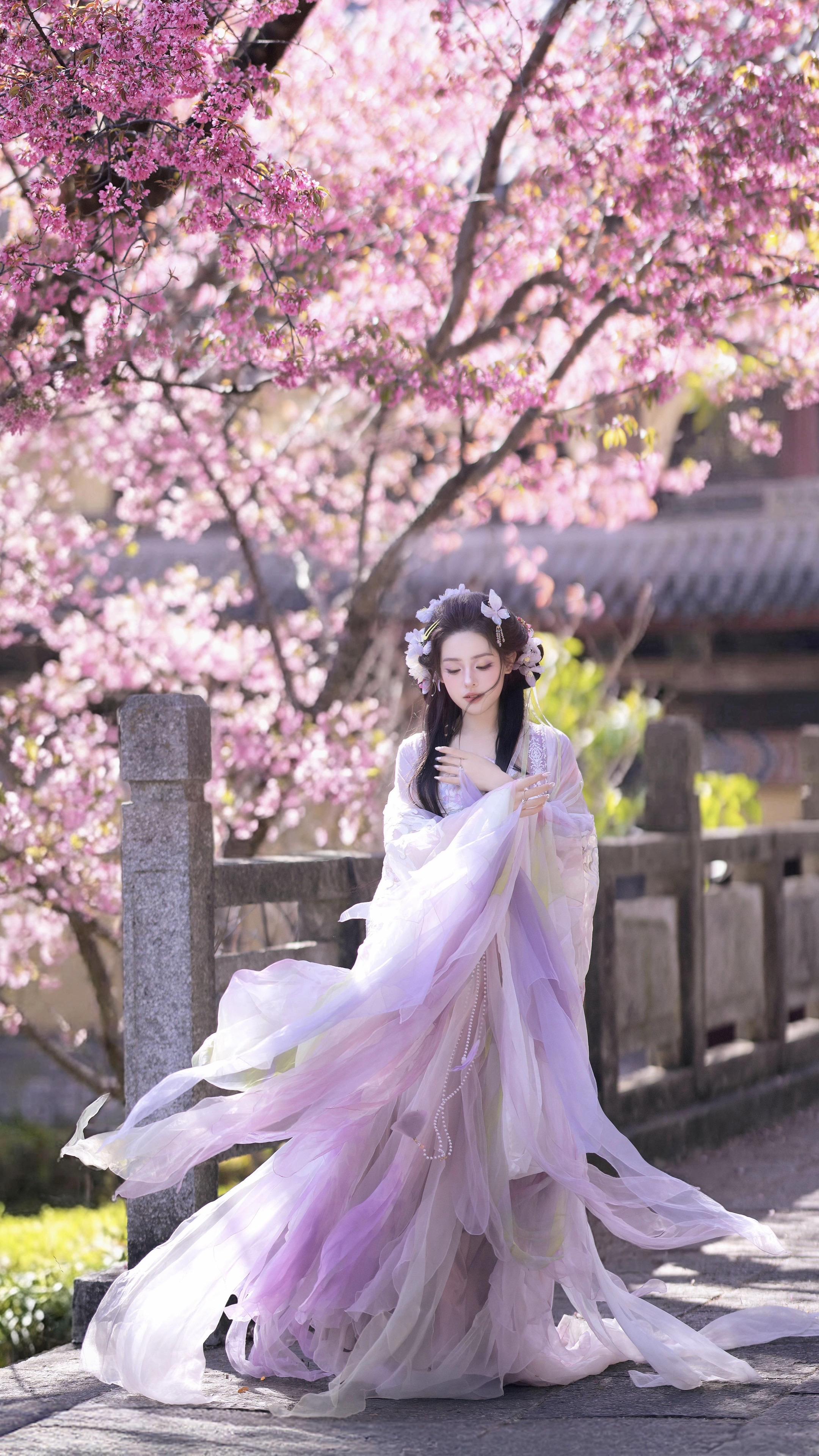 冬天来大理看一次樱花。出镜  妆造  汉服