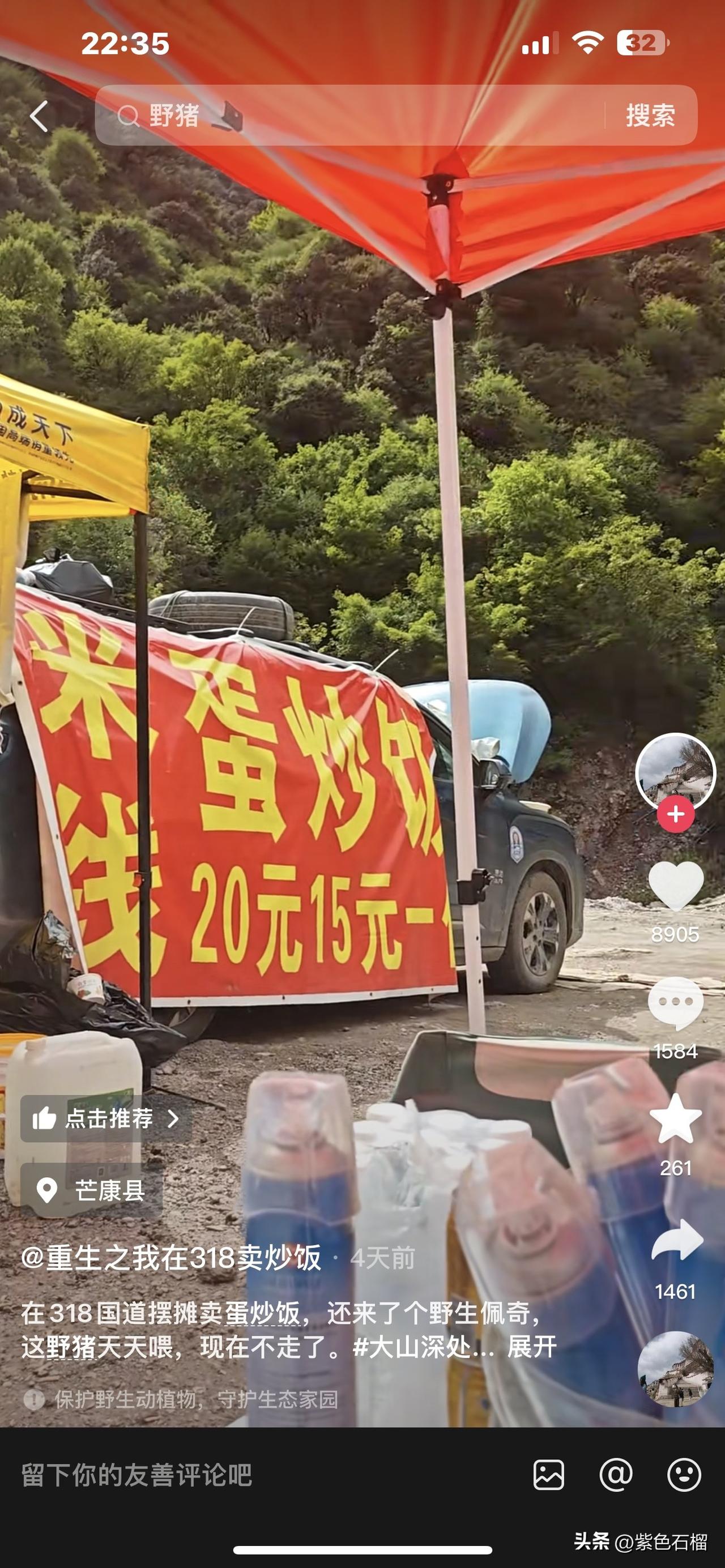 这哪里是野猪，简直就是招财猫啊！
       一位大哥在川藏线318国道卖蛋炒