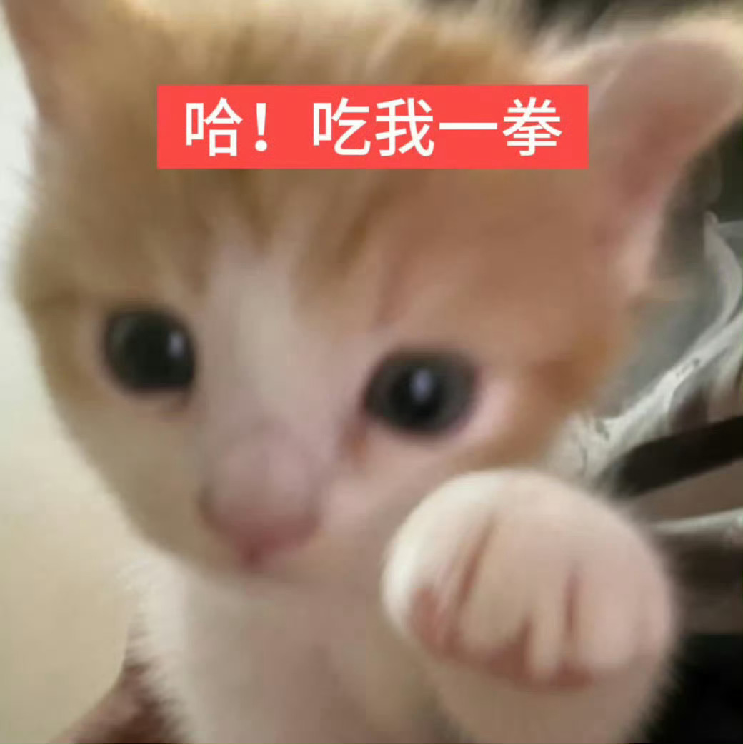 七夕快乐