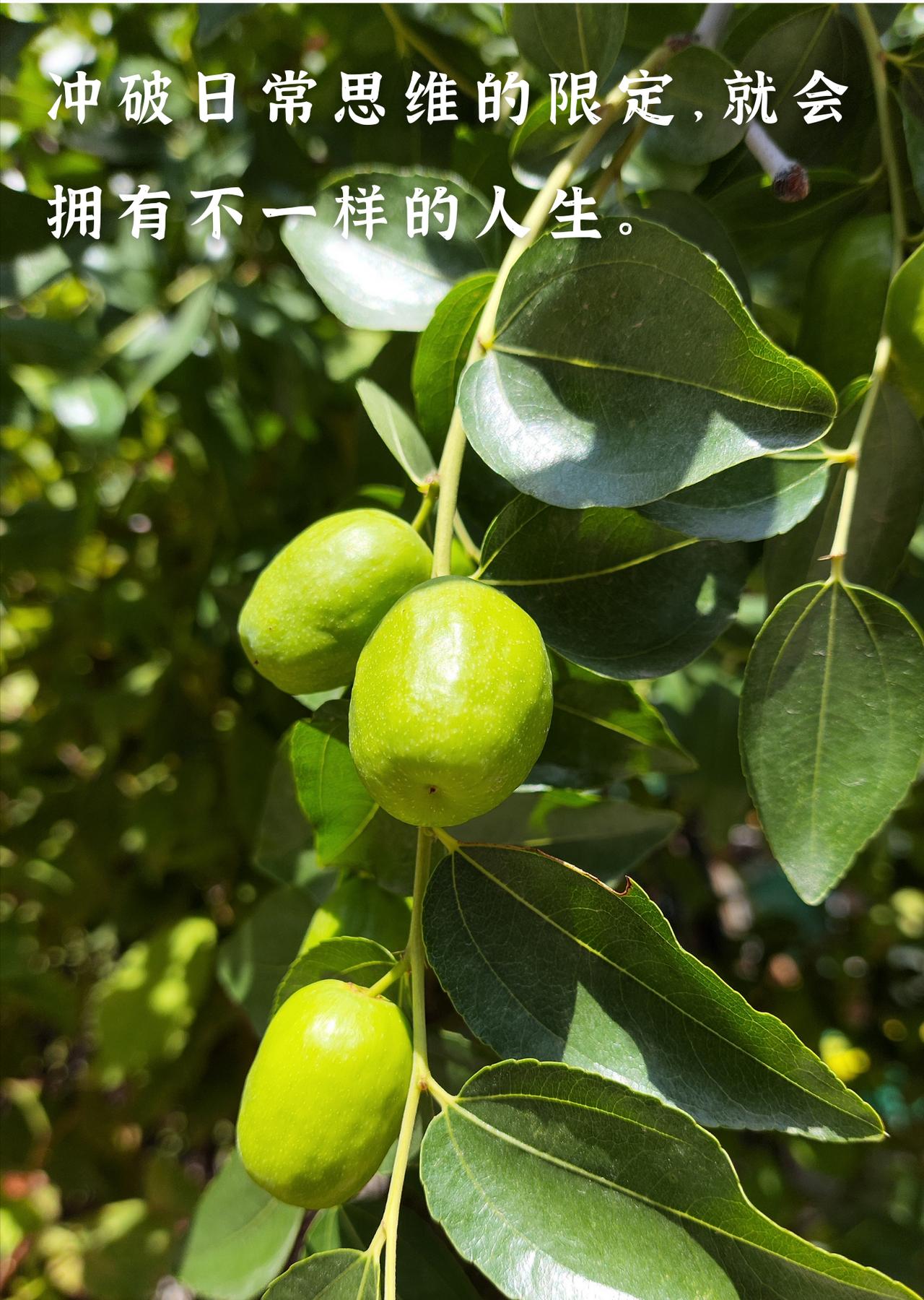 昨天在菜市场被多收了5块钱，我站在原地想了10分钟。
不是心疼钱，是想不通：
为